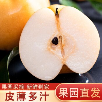 山东烟台丰水梨 5斤装，脆甜多汁，新鲜味美，脆嫩无渣，质优价廉，赶紧下手哦，叠加PLUS 12.9到手 