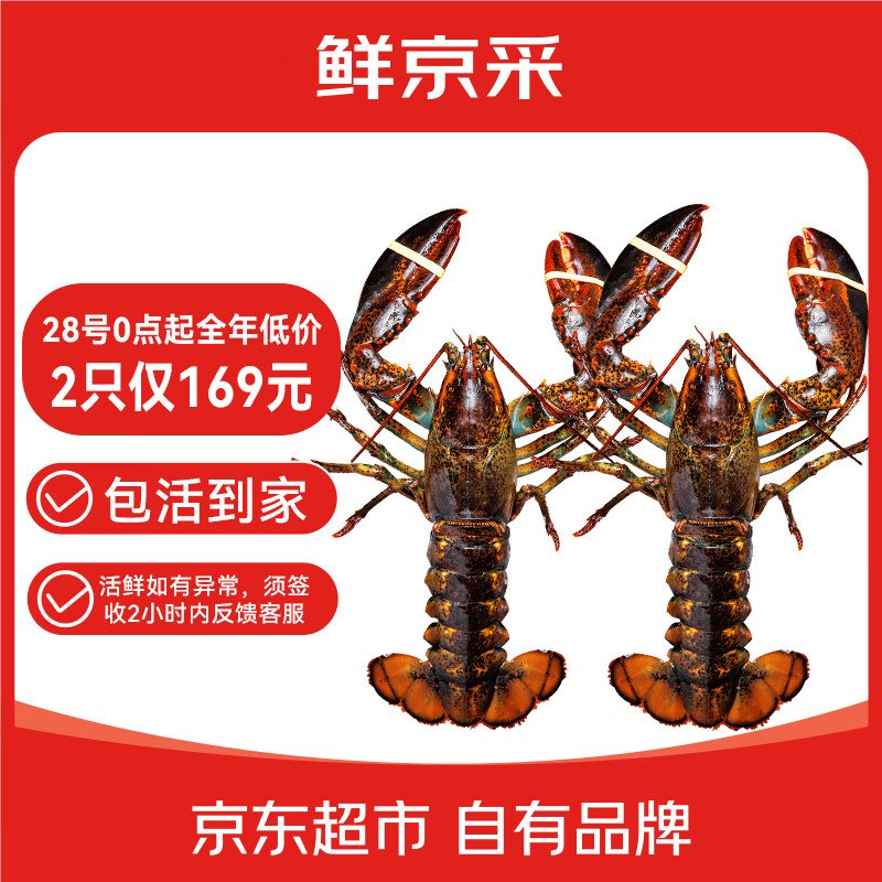 【自营】鲜京采 鲜活波士顿龙虾【169元】得净重400-500g*2只