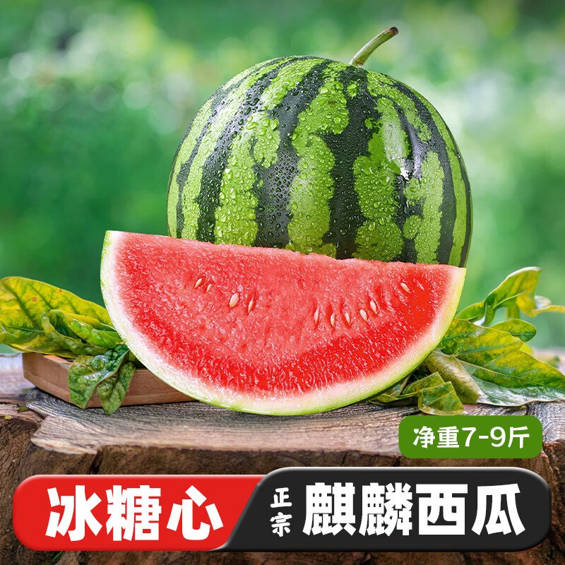 自营京觅 沙地麒麟少籽甜西瓜拍下【23.9元】得净重7-9斤！