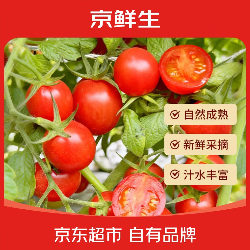 自营京鲜生 日光红贝贝小番茄 净重3斤