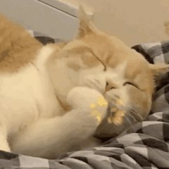 [CQ:at,qq=all] 日常艾特出来看个0点车再睡嗷上翻到23.10左右看看啦~记得先领券，0点后下单价格才对