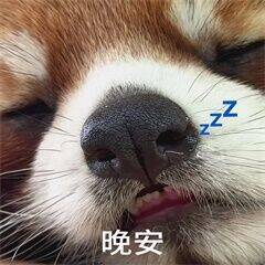 最轻松的时刻，莫过于结束忙碌的一天卸掉一身疲惫，关灯睡觉，晚安啦