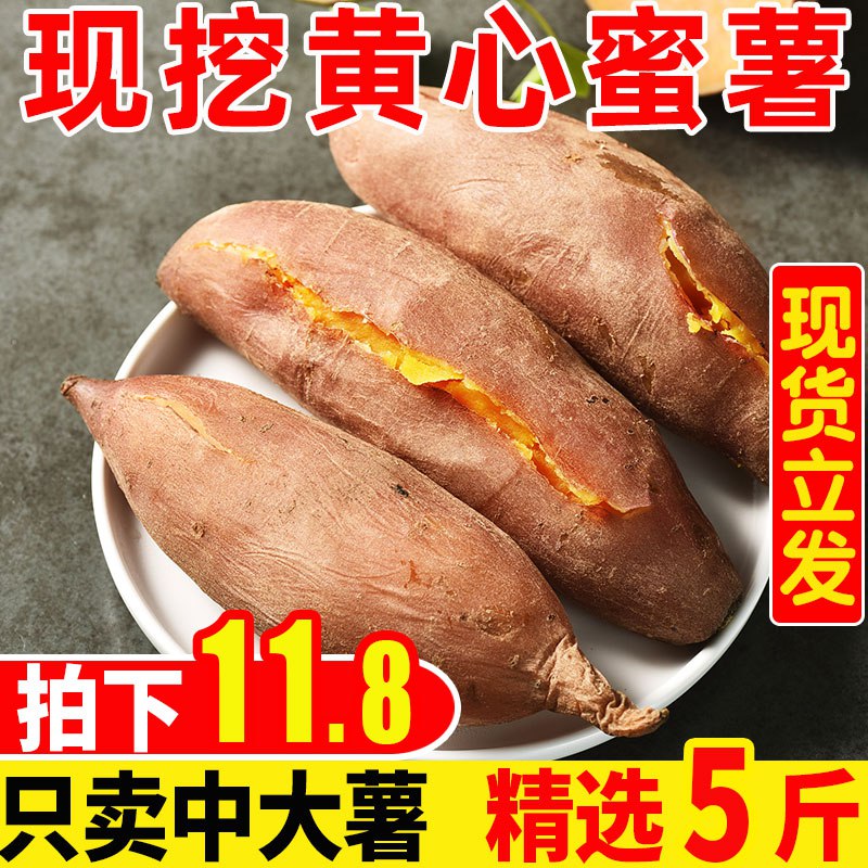 新鲜沙地黄心红薯5斤 9.8元  (eBa3cdgfkNj)
