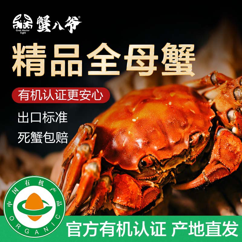 自营蟹八爷 全母蟹2.5-2.8两8只