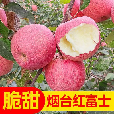 烟台红富士苹果山东当季新鲜水果3斤5斤10斤应季整箱批发脆甜多汁5.81元