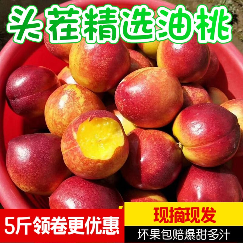 黄心油桃5斤 11.8亓  (PtIk1Iokx0c)  ----------618 虹包来袭每天各三次陶宝：