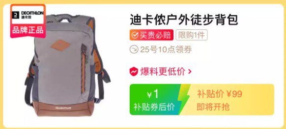 10点秒杀1元  百亿补贴迪卡侬户外徒步背包10L双肩包(eBIP2x7AA2e)/ CZ1111