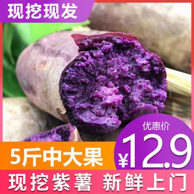 新鲜紫薯现挖紫地瓜农家自种紫心地瓜紫薯番薯新鲜红薯新鲜水果4.83元