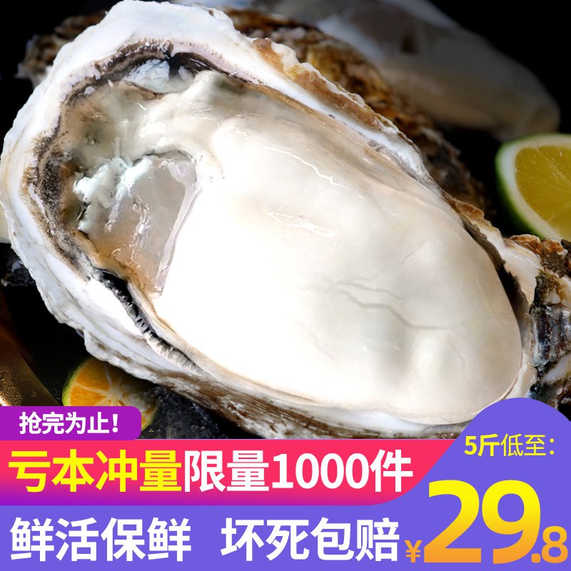 0点开始 17.8元乳山生蚝鲜活5斤(GS8rcUVi8cB)/