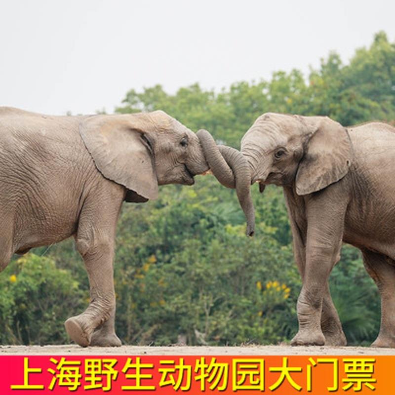 1-/ CZ3457 /)i1bLdw46gKt)//上海动物园门票1亓自辨/