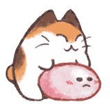 下面开始日常0点时间啦