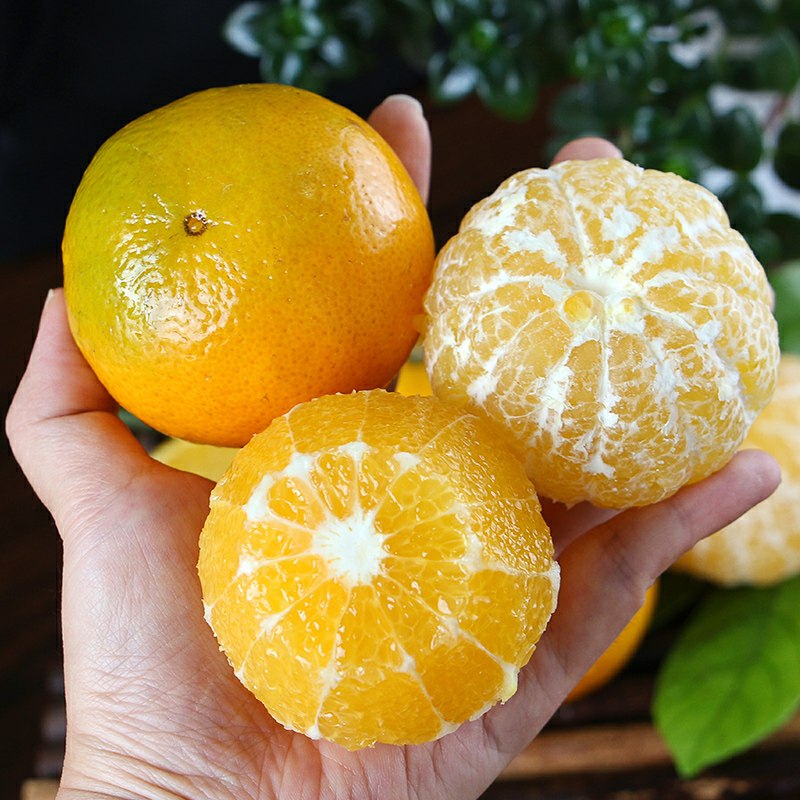 0点前1500名 9.9元丹霞皇帝柑贡柑5斤(kJq5clIK4EC)/ 微信群Q21226