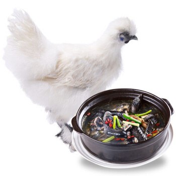 农家养白凤乌ji买一送二，得三只