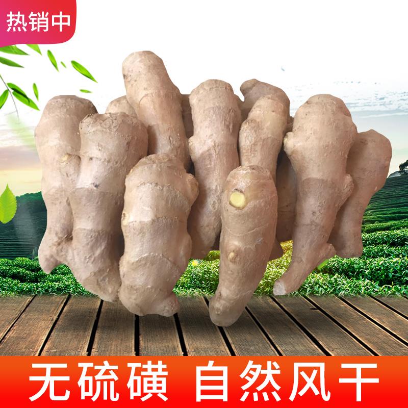 山东安丘老姜 最后个选项1/ CZ9512 /kW8kWrpVhkZ//