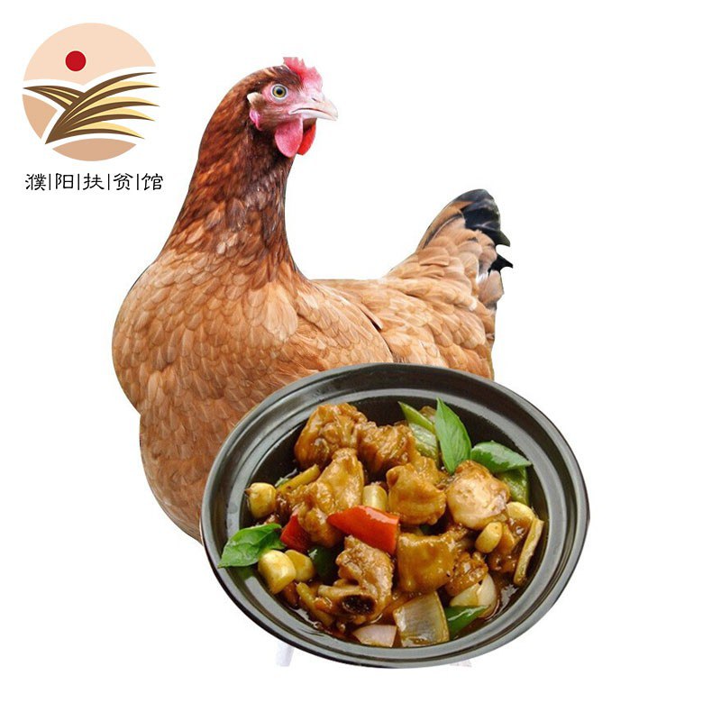 JD！ 新鲜三黄鸡买1送3