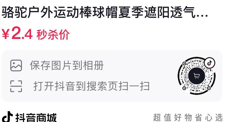 Dy骆驼帽子2.4亓按需