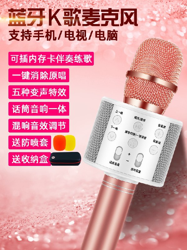 0点后下单拍下8.9元史低 拍下送充电线佰卓无线K歌麦克风(F1dacnkUr2a)/