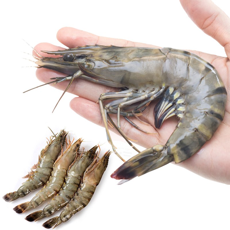 拍3，进口越南黑虎虾1800g，超大约50头，Plus可再叠10元全